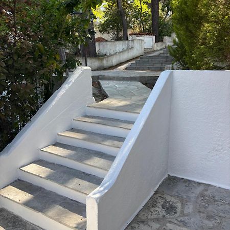 Sani Garden Houseヴィラ エクステリア 写真